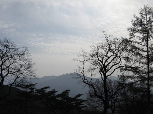 백장암 사미승 부도 앞에서 본 지리산 능선. 불꽃처럼 솟아있는 봉우리를 마주하면 불이 자주 난다고 한다. 